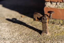 HD Rost